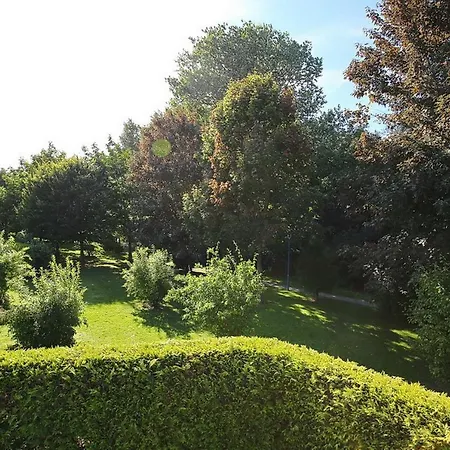 Papillon 05-8 博尔滕哈根